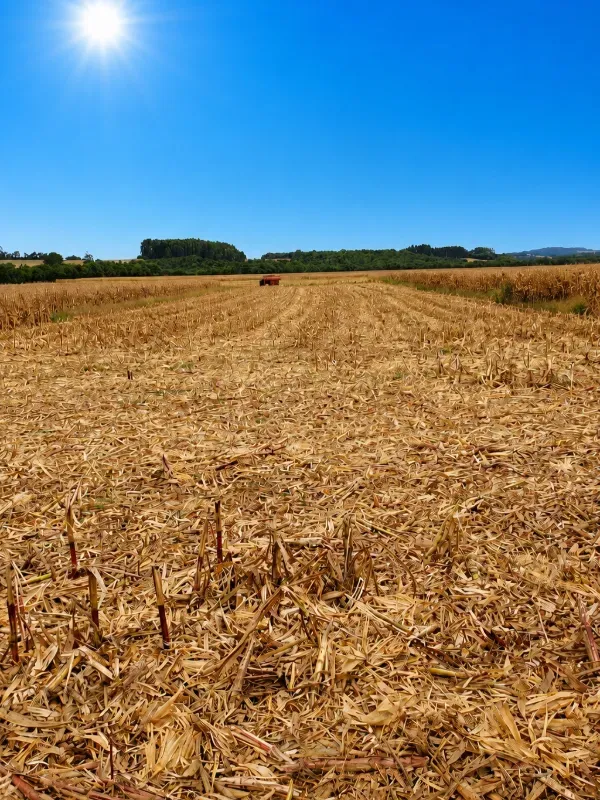 Fazenda em São Mateus do Sul/Paraná — Ref 4EKSY8 — Imagem 9