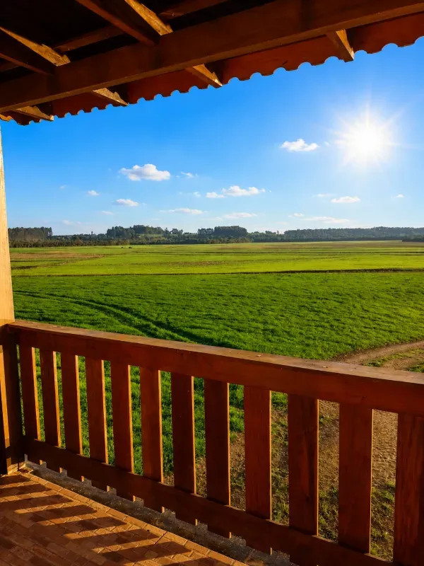 Fazenda em São Mateus do Sul/Paraná — Ref 4EKSY8 — Imagem 13