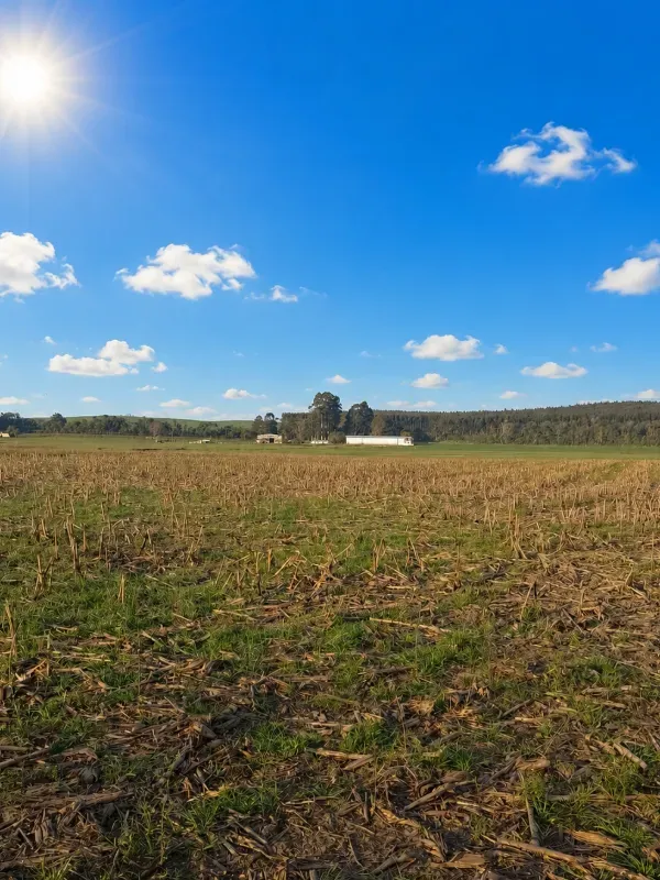 Fazenda em São Mateus do Sul/Paraná — Ref 4EKSY8 — Imagem 14