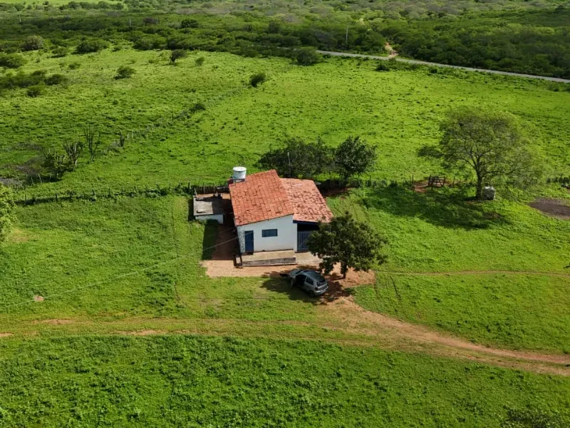 Fazenda em São Paulo do Potengi/Rio Grande do Norte — Ref 1PZHGZ — Imagem 2