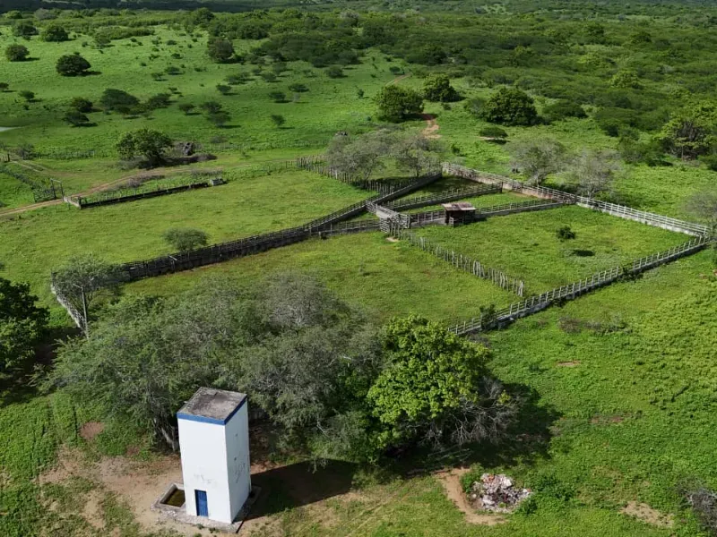 Fazenda em São Paulo do Potengi/Rio Grande do Norte — Ref 1PZHGZ — Imagem 3