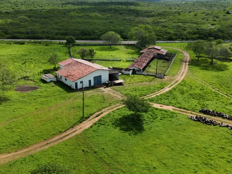 Fazenda em São Paulo do Potengi/Rio Grande do Norte — Ref 1PZHGZ — Imagem 4