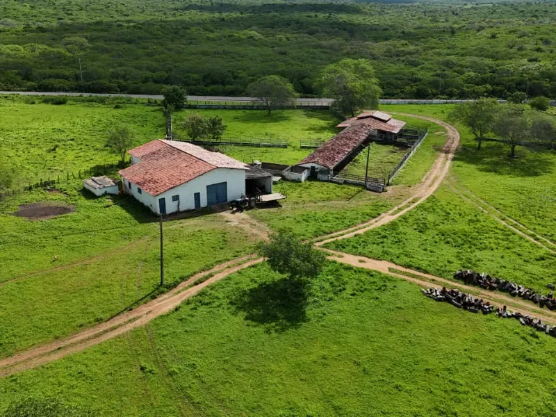 Fazenda em São Paulo do Potengi/Rio Grande do Norte — Ref 1PZHGZ — Imagem 5