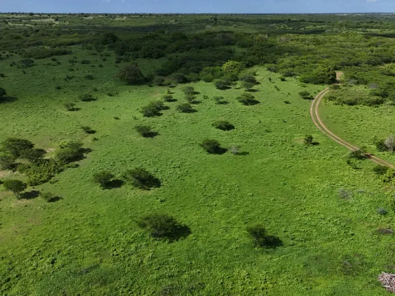 Fazenda em São Paulo do Potengi/Rio Grande do Norte — Ref 1PZHGZ — Imagem 6