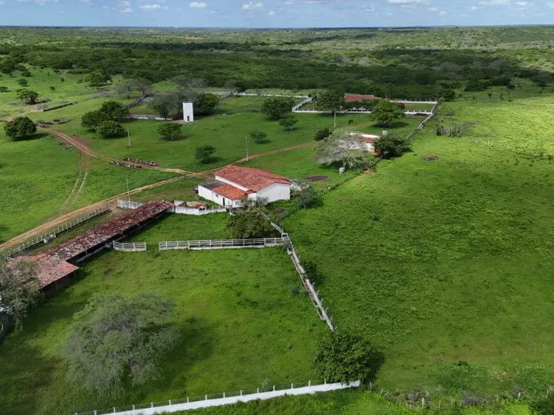Fazenda em São Paulo do Potengi/Rio Grande do Norte — Ref 1PZHGZ — Imagem 7