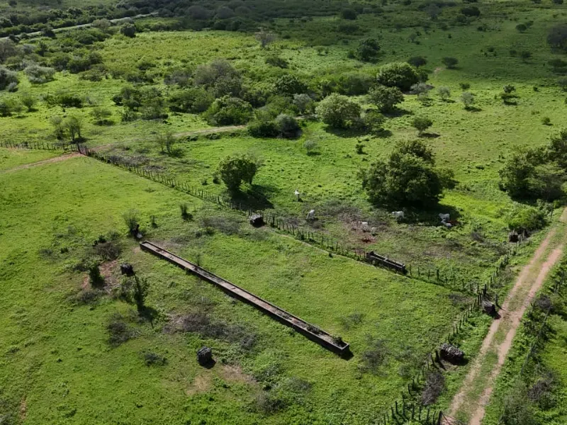 Fazenda em São Paulo do Potengi/Rio Grande do Norte — Ref 1PZHGZ — Imagem 8