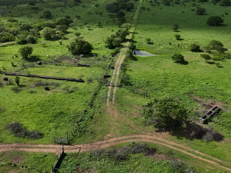 Fazenda em São Paulo do Potengi/Rio Grande do Norte — Ref 1PZHGZ — Imagem 9