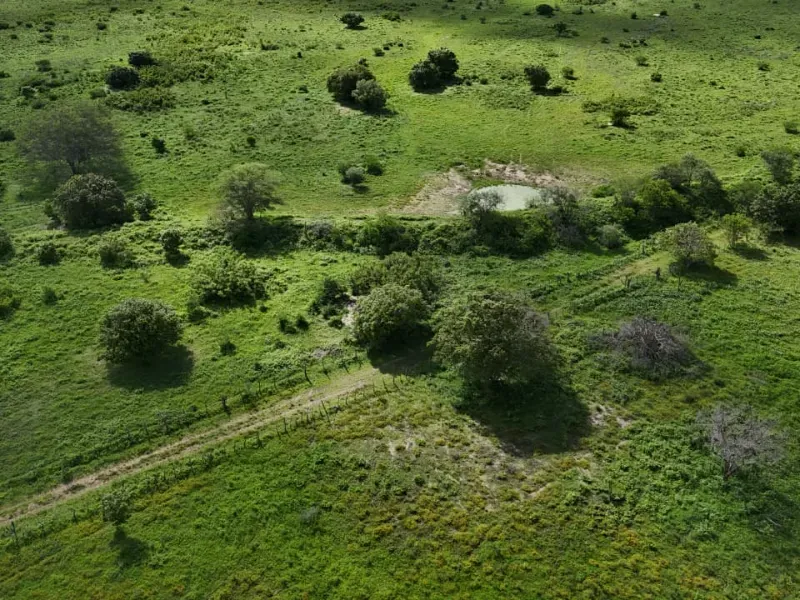 Fazenda em São Paulo do Potengi/Rio Grande do Norte — Ref 1PZHGZ — Imagem 10
