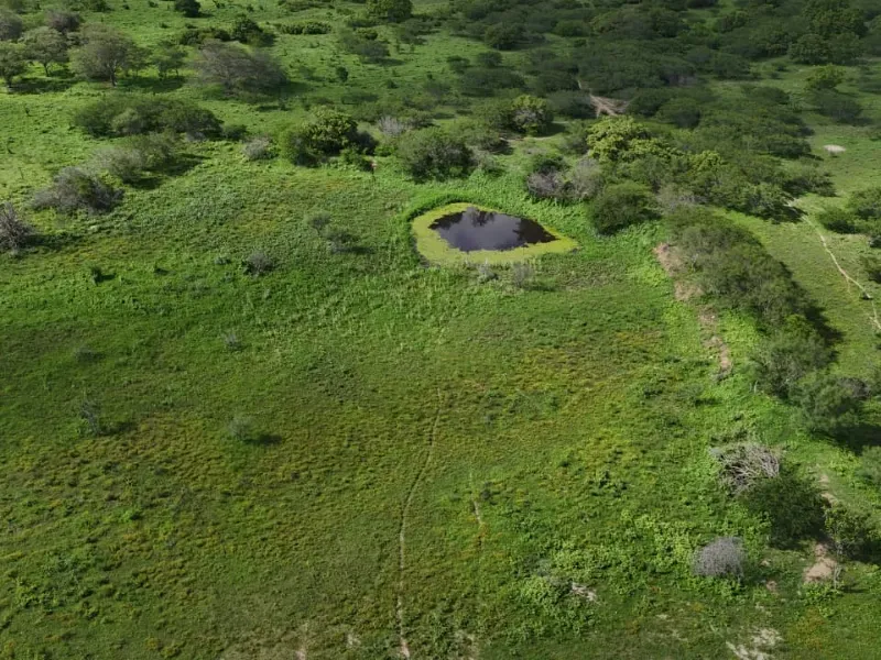 Fazenda em São Paulo do Potengi/Rio Grande do Norte — Ref 1PZHGZ — Imagem 11