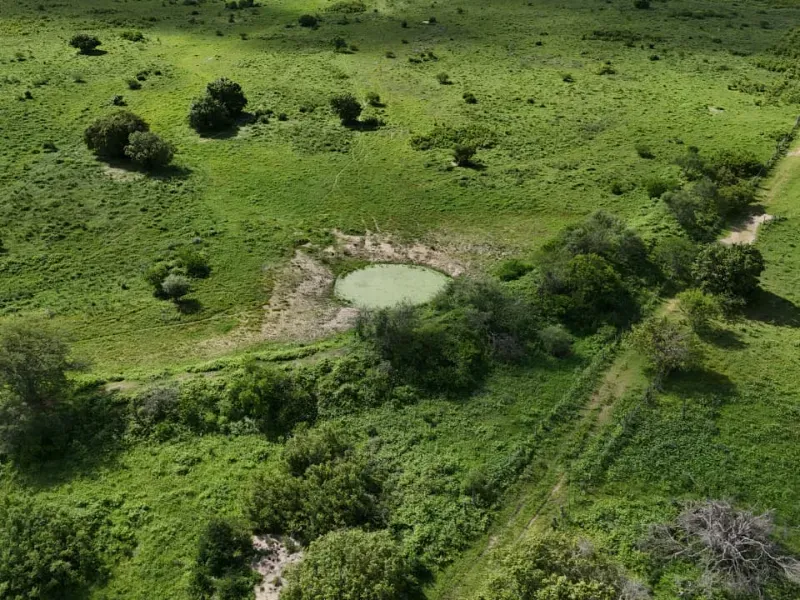 Fazenda em São Paulo do Potengi/Rio Grande do Norte — Ref 1PZHGZ — Imagem 12