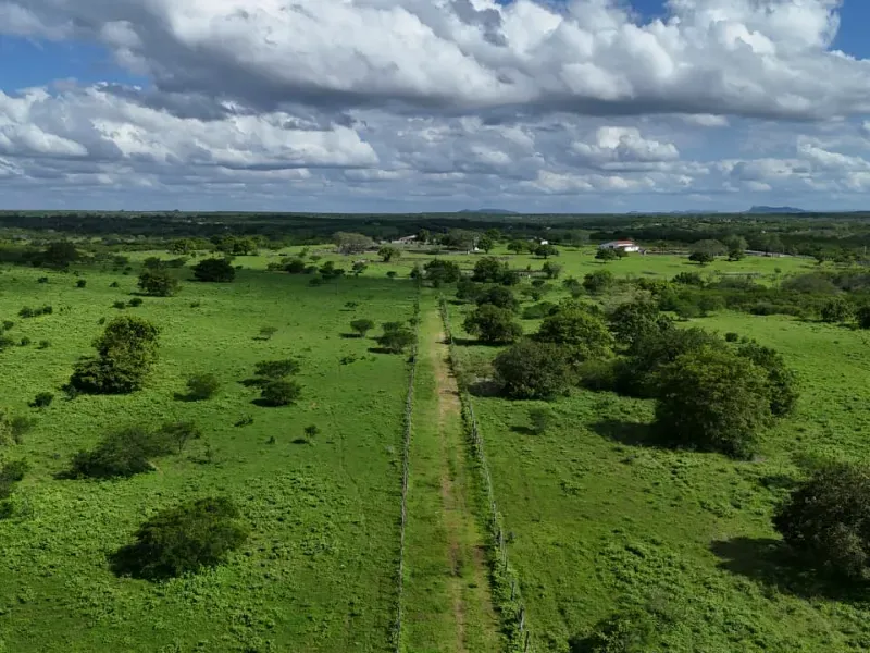 Fazenda em São Paulo do Potengi/Rio Grande do Norte — Ref 1PZHGZ — Imagem 13