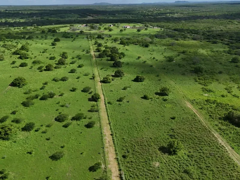 Fazenda em São Paulo do Potengi/Rio Grande do Norte — Ref 1PZHGZ — Imagem 14