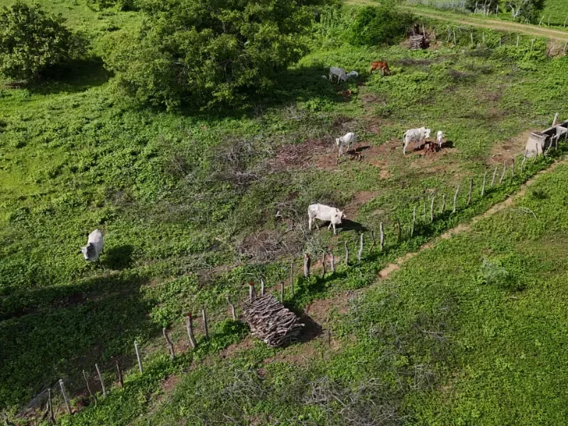 Fazenda em São Paulo do Potengi/Rio Grande do Norte — Ref 1PZHGZ — Imagem 15