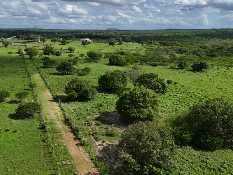 Fazenda em São Paulo do Potengi/Rio Grande do Norte — Ref 1PZHGZ — Imagem 16