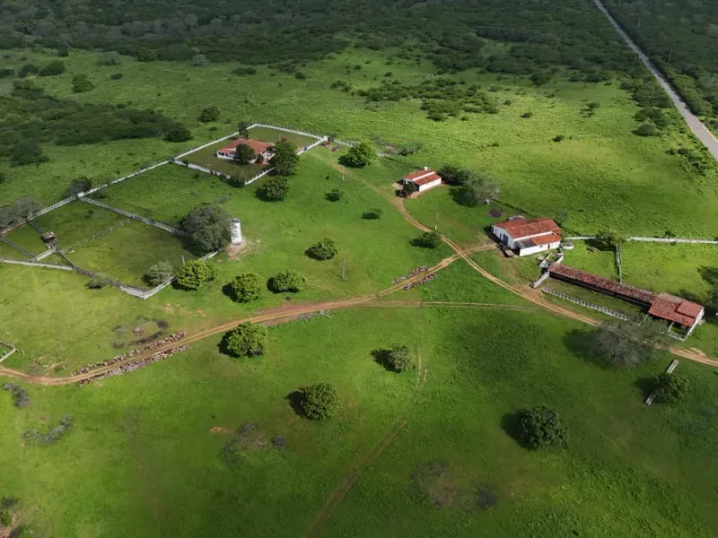 Fazenda em São Paulo do Potengi/Rio Grande do Norte — Ref 1PZHGZ — Imagem 17