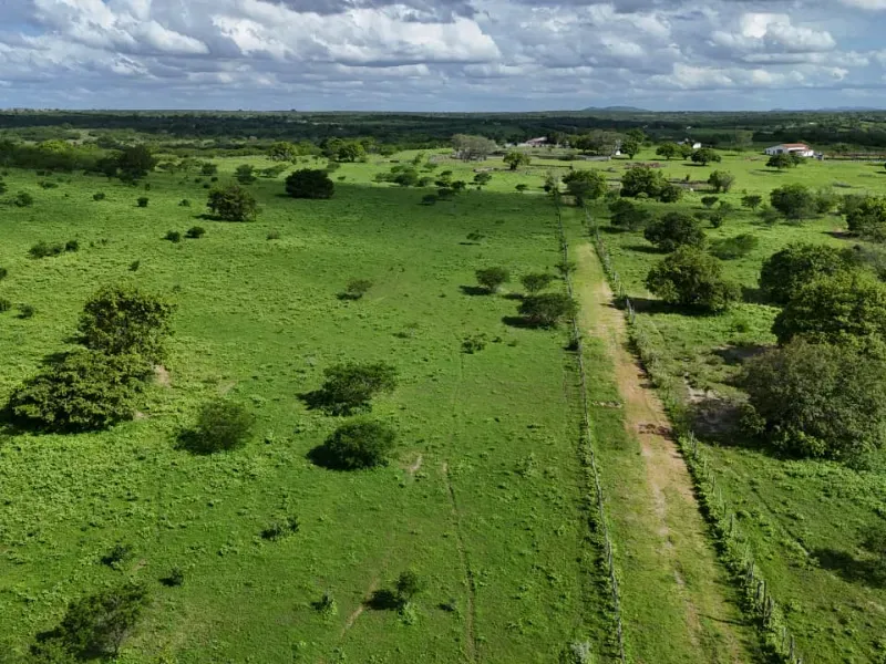 Fazenda em São Paulo do Potengi/Rio Grande do Norte — Ref 1PZHGZ — Imagem 18