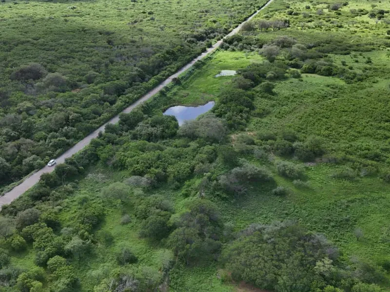 Fazenda em São Paulo do Potengi/Rio Grande do Norte — Ref 1PZHGZ — Imagem 19
