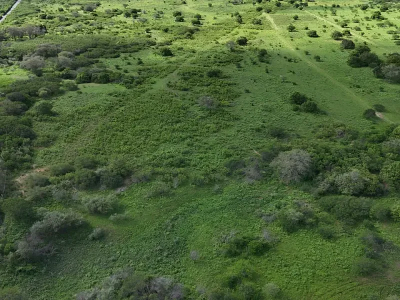 Fazenda em São Paulo do Potengi/Rio Grande do Norte — Ref 1PZHGZ — Imagem 20