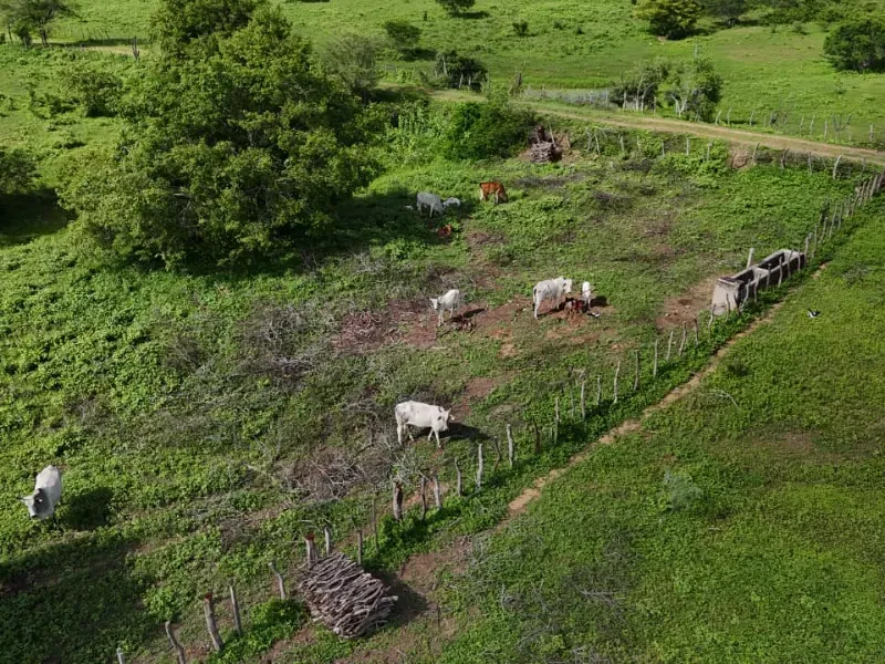 Fazenda em São Paulo do Potengi/Rio Grande do Norte — Ref 1PZHGZ — Imagem 22