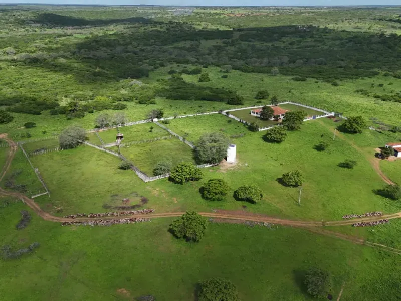 Fazenda em São Paulo do Potengi/Rio Grande do Norte — Ref 1PZHGZ — Imagem 24