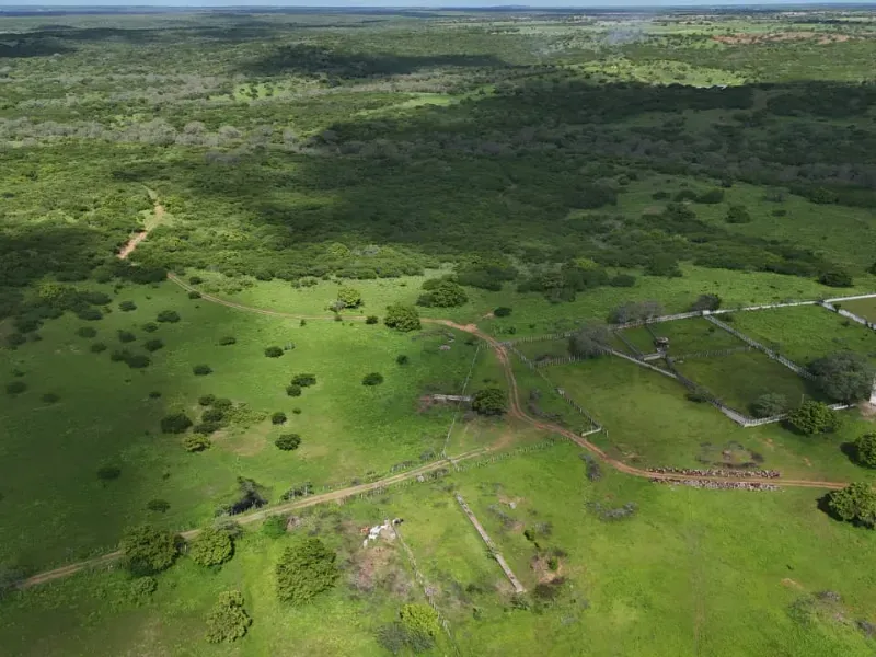 Fazenda em São Paulo do Potengi/Rio Grande do Norte — Ref 1PZHGZ — Imagem 26