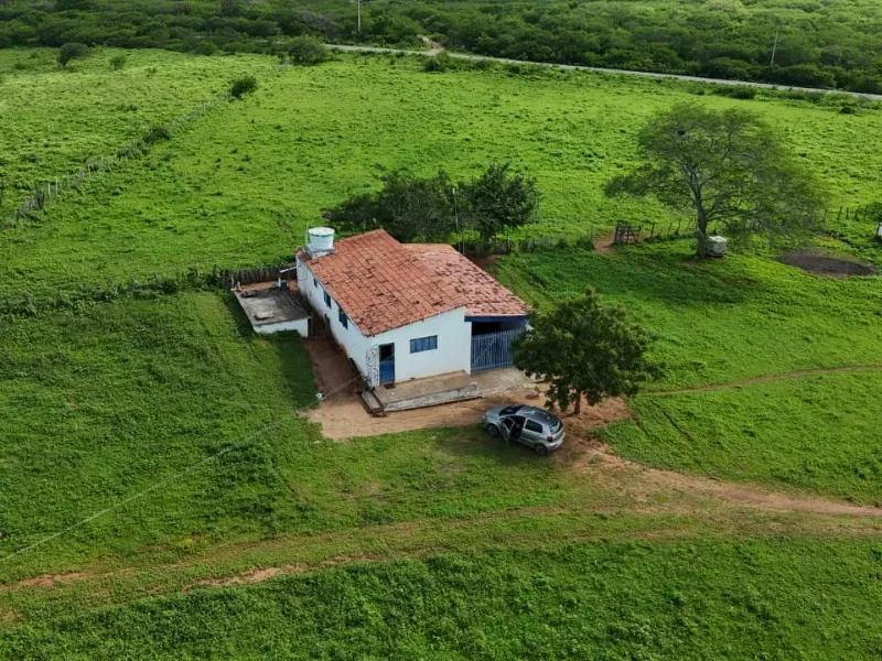 Fazenda em São Paulo do Potengi/Rio Grande do Norte — Ref 1PZHGZ — Imagem 27