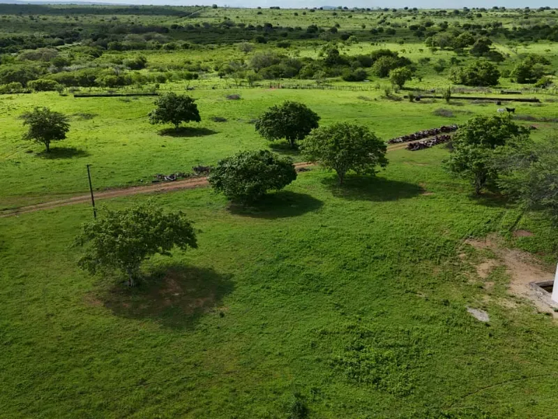 Fazenda em São Paulo do Potengi/Rio Grande do Norte — Ref 1PZHGZ — Imagem 29
