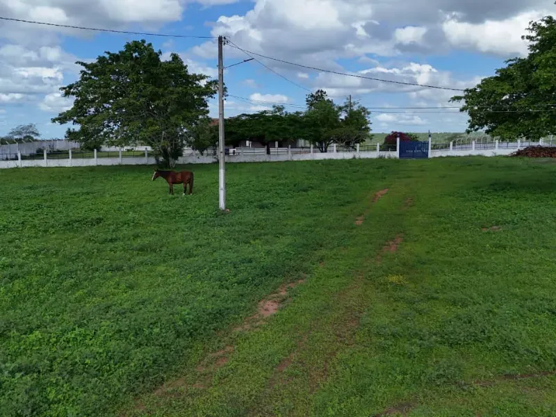 Fazenda em São Paulo do Potengi/Rio Grande do Norte — Ref 1PZHGZ — Imagem 30