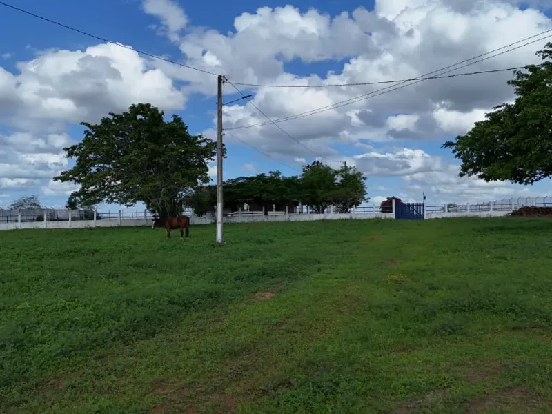Fazenda em São Paulo do Potengi/Rio Grande do Norte — Ref 1PZHGZ — Imagem 31