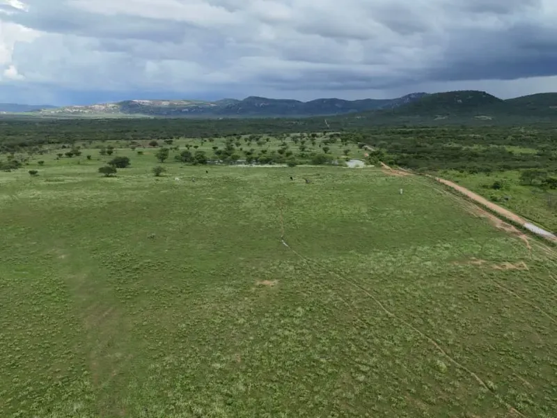 Fazenda em São Tomé/Rio Grande do Norte — Ref F5OADX — Imagem 3