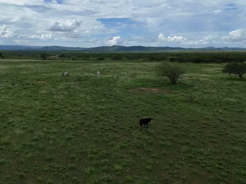 Fazenda em São Tomé/Rio Grande do Norte — Ref F5OADX — Imagem 4