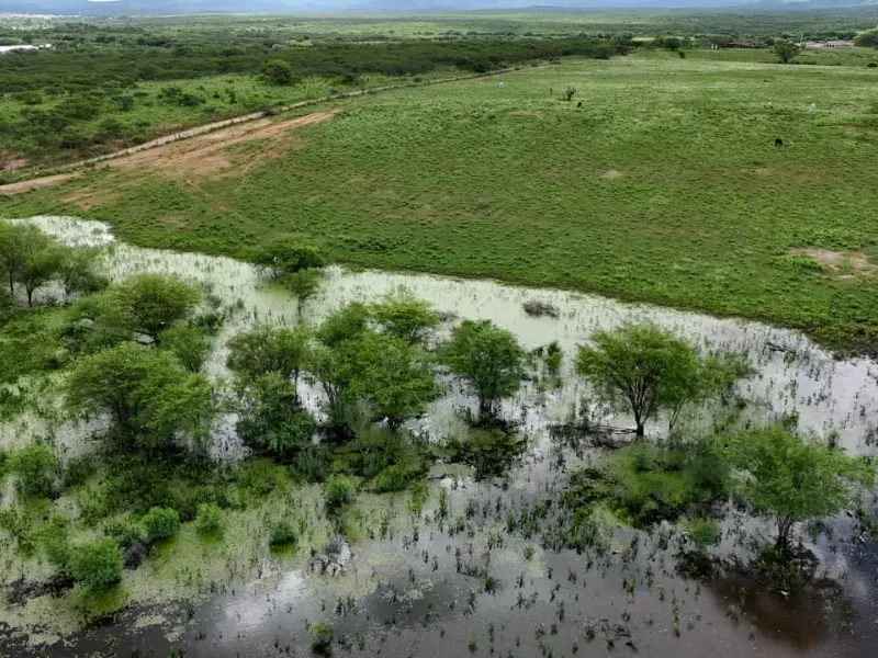 Fazenda em São Tomé/Rio Grande do Norte — Ref F5OADX — Imagem 7