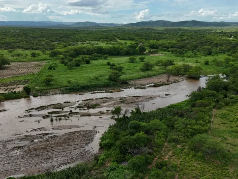 Fazenda em São Tomé/Rio Grande do Norte — Ref F5OADX — Imagem 8