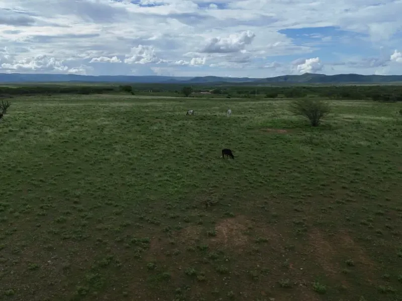 Fazenda em São Tomé/Rio Grande do Norte — Ref F5OADX — Imagem 11