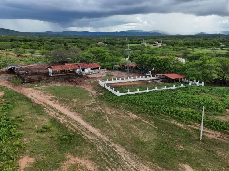 Fazenda em São Tomé/Rio Grande do Norte — Ref F5OADX — Imagem 13