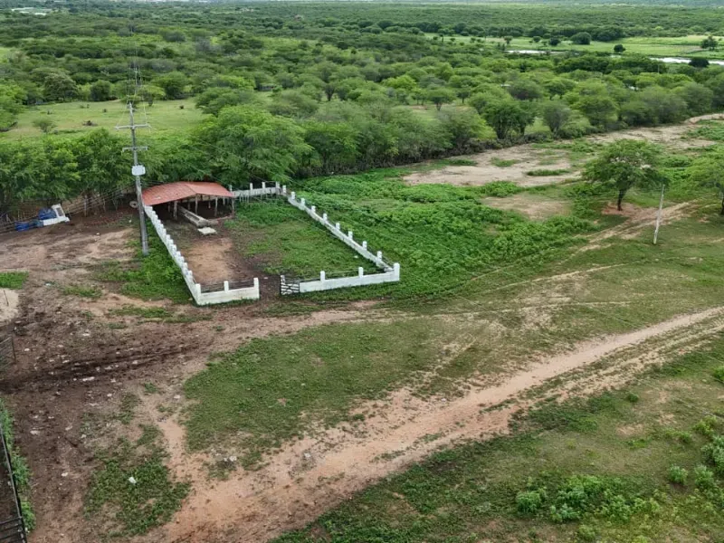 Fazenda em São Tomé/Rio Grande do Norte — Ref F5OADX — Imagem 14