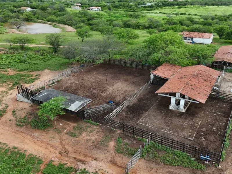 Fazenda em São Tomé/Rio Grande do Norte — Ref F5OADX — Imagem 16