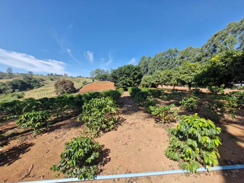 Fazenda em São Vicente de Minas/Minas Gerais — Ref RHKC1Z — Imagem 29