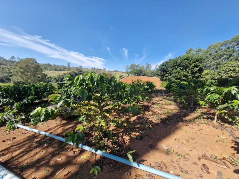 Fazenda em São Vicente de Minas/Minas Gerais — Ref RHKC1Z — Imagem 30