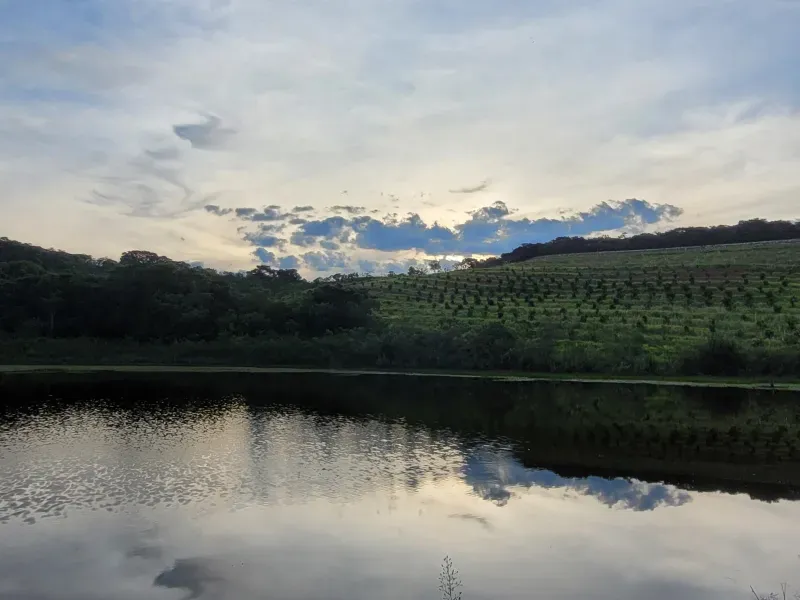 Fazenda em São Vicente de Minas/Minas Gerais — Ref RHKC1Z — Imagem 33