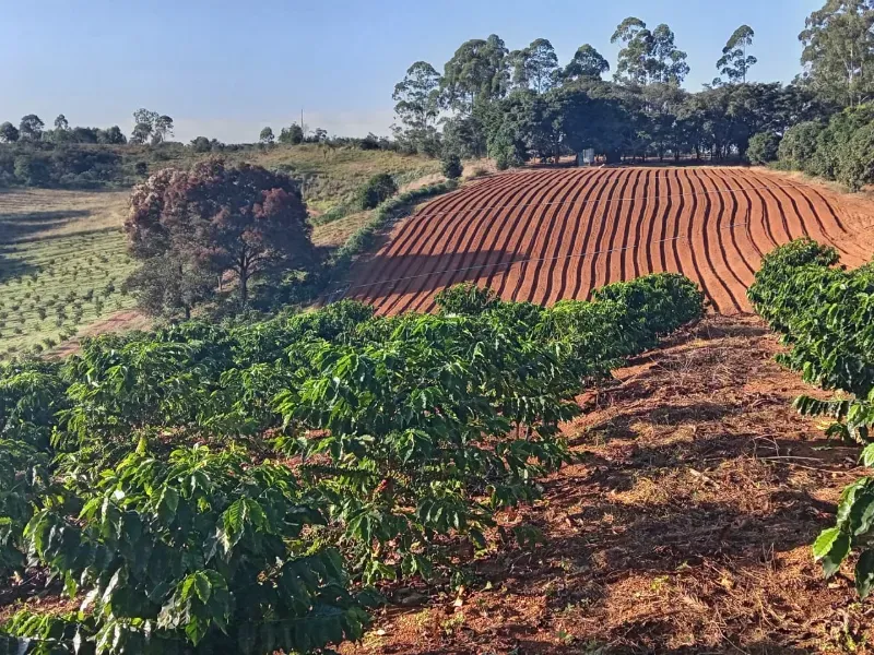 Fazenda em São Vicente de Minas/Minas Gerais — Ref RHKC1Z — Imagem 28