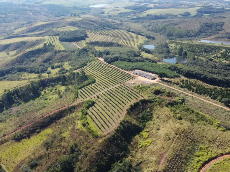 Fazenda em São Vicente de Minas/Minas Gerais — Ref RHKC1Z — Imagem 42