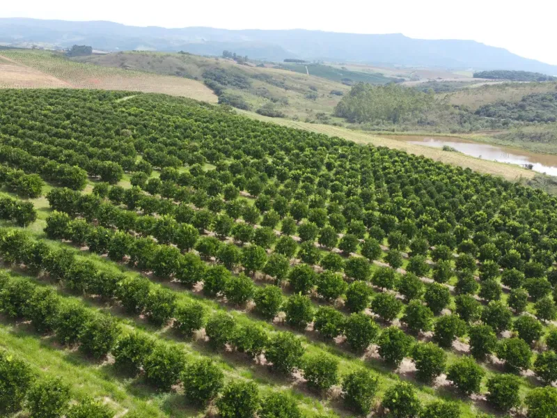 Fazenda em São Vicente de Minas/Minas Gerais — Ref RHKC1Z — Imagem 46
