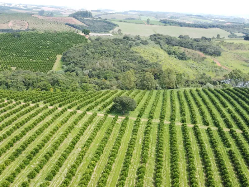 Fazenda em São Vicente de Minas/Minas Gerais — Ref RHKC1Z — Imagem 47