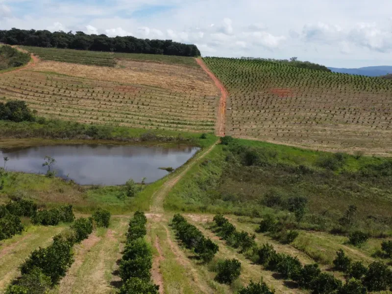 Fazenda em São Vicente de Minas/Minas Gerais — Ref RHKC1Z — Imagem 48