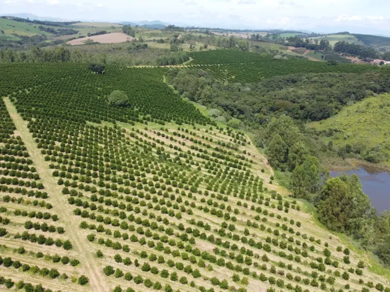 Fazenda em São Vicente de Minas/Minas Gerais — Ref RHKC1Z — Imagem 50