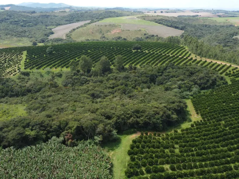 Fazenda em São Vicente de Minas/Minas Gerais — Ref RHKC1Z — Imagem 51
