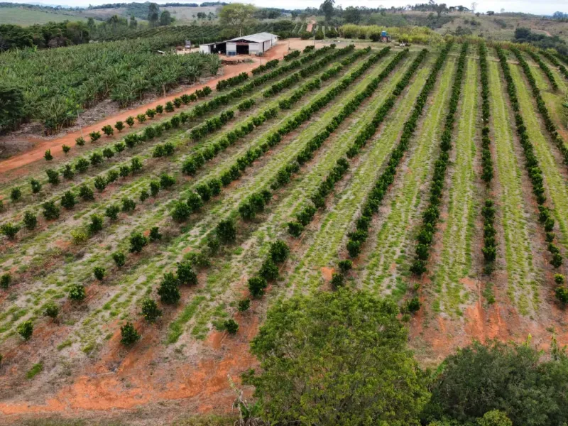 Fazenda em São Vicente de Minas/Minas Gerais — Ref RHKC1Z — Imagem 52