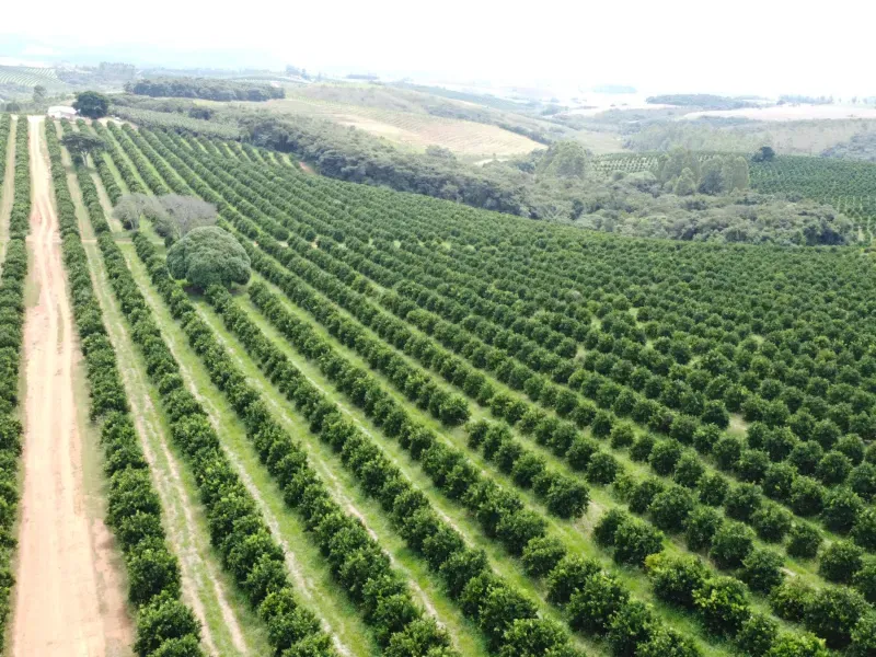 Fazenda em São Vicente de Minas/Minas Gerais — Ref RHKC1Z — Imagem 53