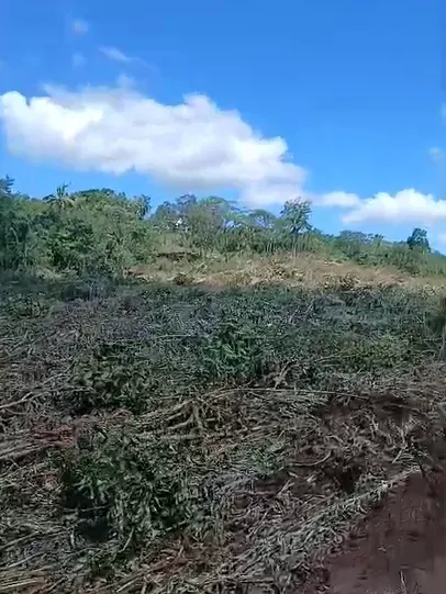 Fazenda em Sítio Novo/Maranhão — Ref 4X3BDS — Imagem 3